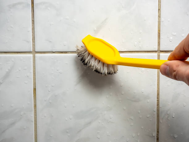 Best Mold Testing and Removal  in Hephzibah, GA