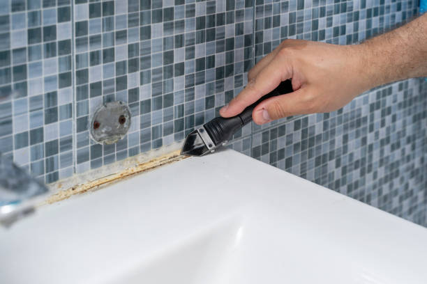 Office Mold Removal Services in Hephzibah, GA