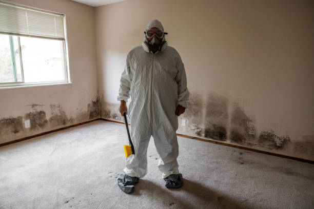 Best Mold Testing  in Hephzibah, GA